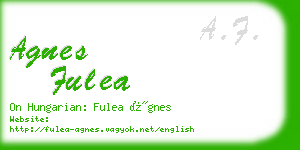 agnes fulea business card
